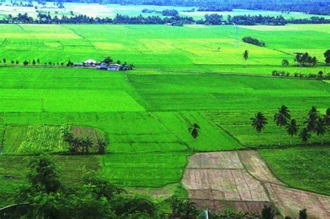 Kapatagan, Lanao del Norte .
